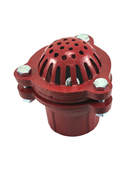 Red Cast Iron Foot Valve